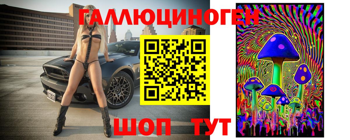 наркота  Псилоцибиновые грибы MAGIC MUSHROOMS  Галлюциногенные грибы Psilocybe  Вход с VPN  Чапаевск 